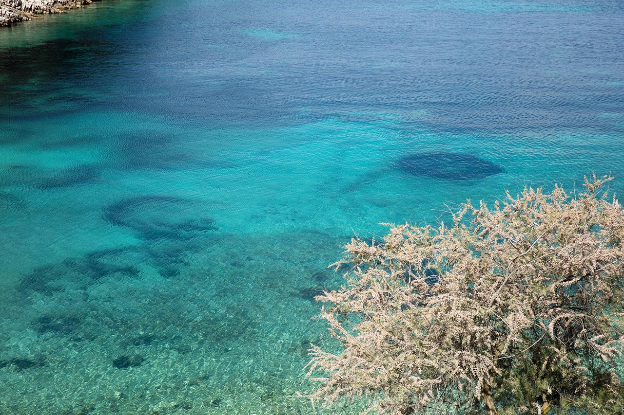 Little Green Bay Hotel Hvar Island Екстериор снимка